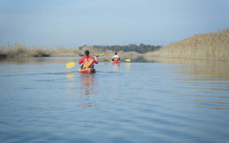 grupo de-personas-en-la-salida-en-4x4-y-kayak-por-el-ebro-avistando-flora-y-fauna-nautic-parc-atardecer-biodiversidad-vive-la-aventura-belleza-del-delta-