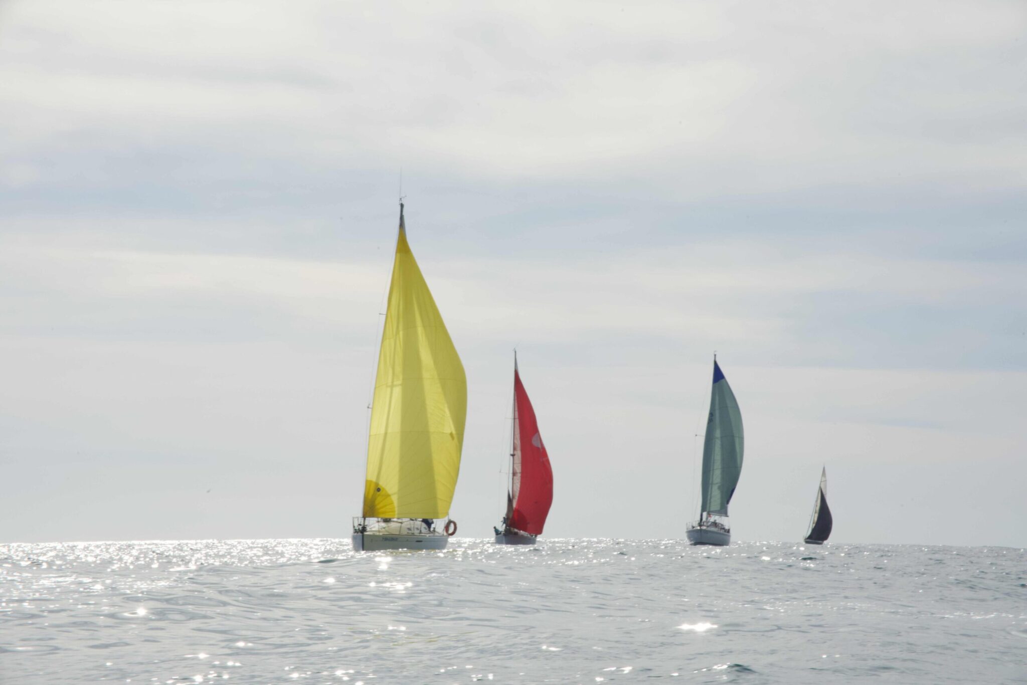 regata-corporativa-empresas-navegar