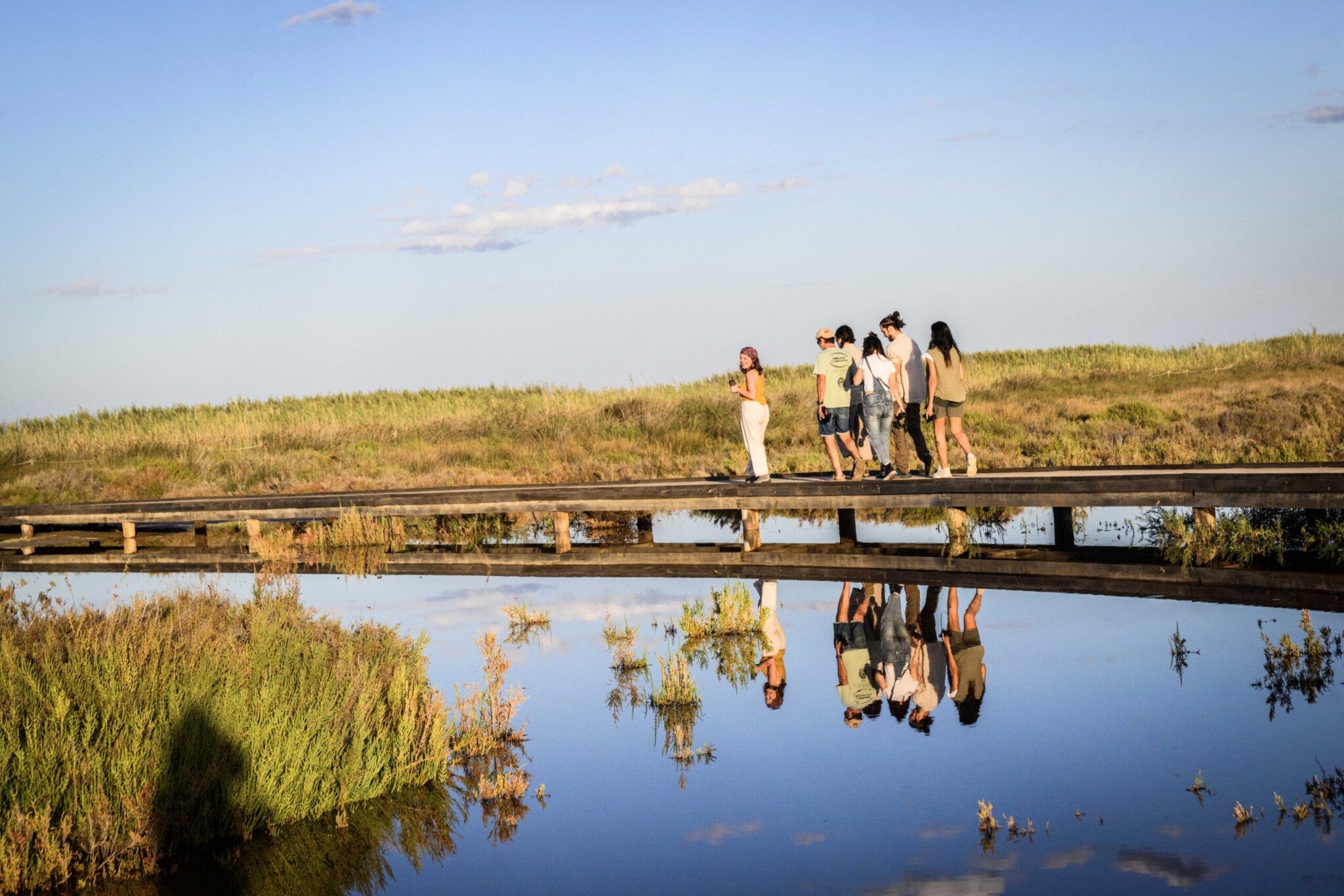 grupo-de-personas-paseando-por-los-arrozales-deltebre-nautic-parc-biodiversidad-ecosistema