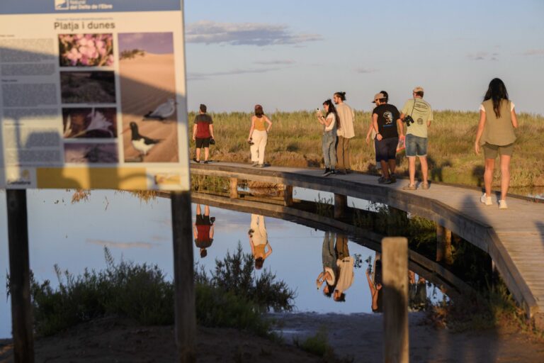 grupo-de-personas-paseando-por-los-arrozales-deltebre-nautic-parc